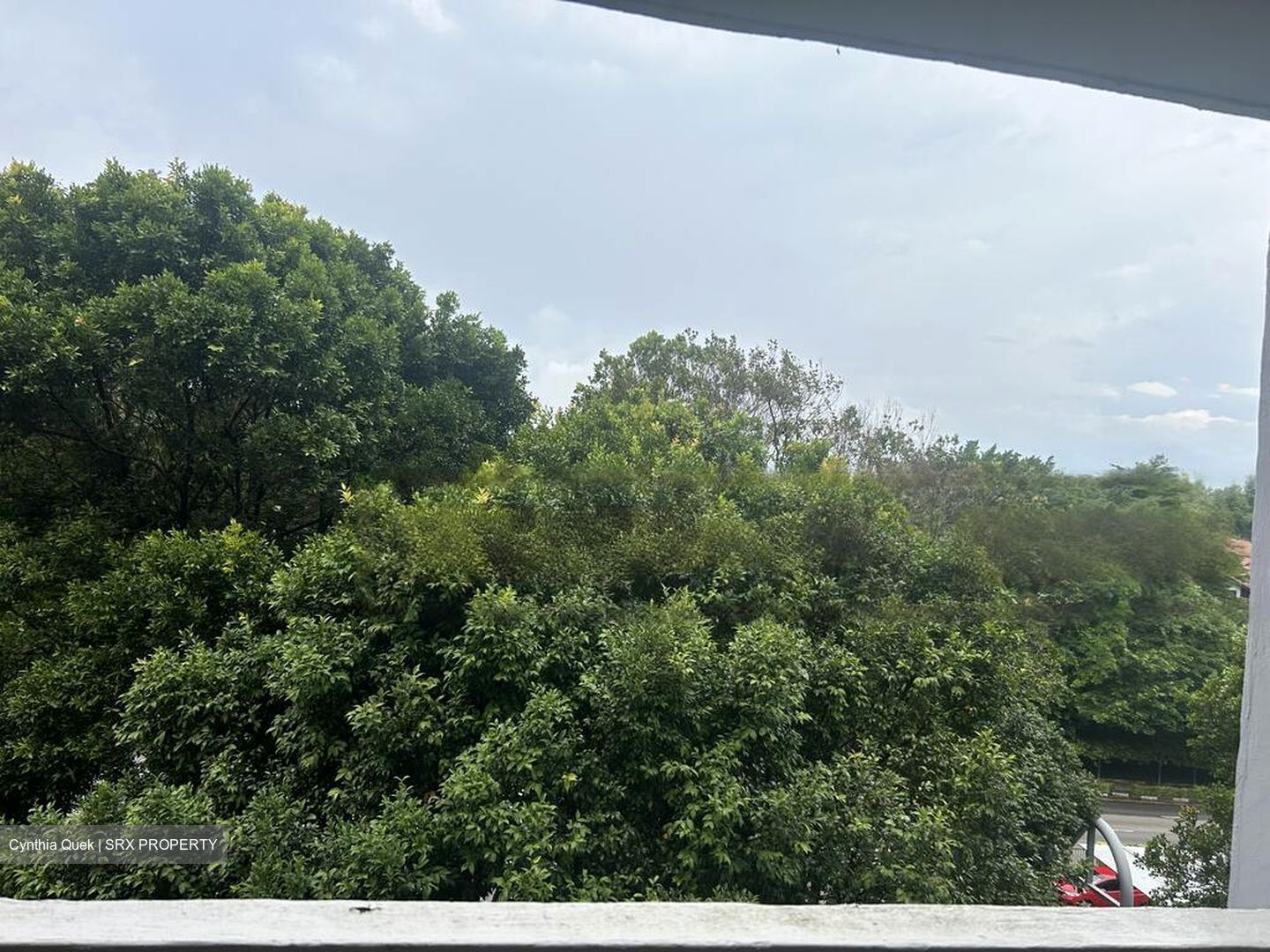 Blk 3 Farrer Gardens (Bukit Timah), HDB 3 Rooms #466772711